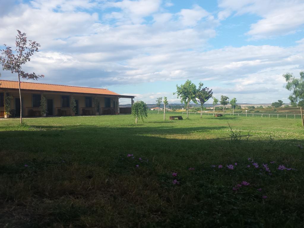 Agriturismo San Matteo Tarquinia Habitación foto