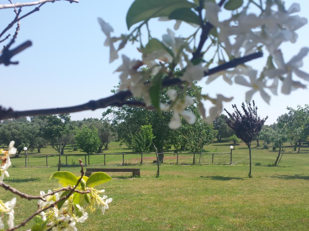 Agriturismo San Matteo Tarquinia Habitación foto